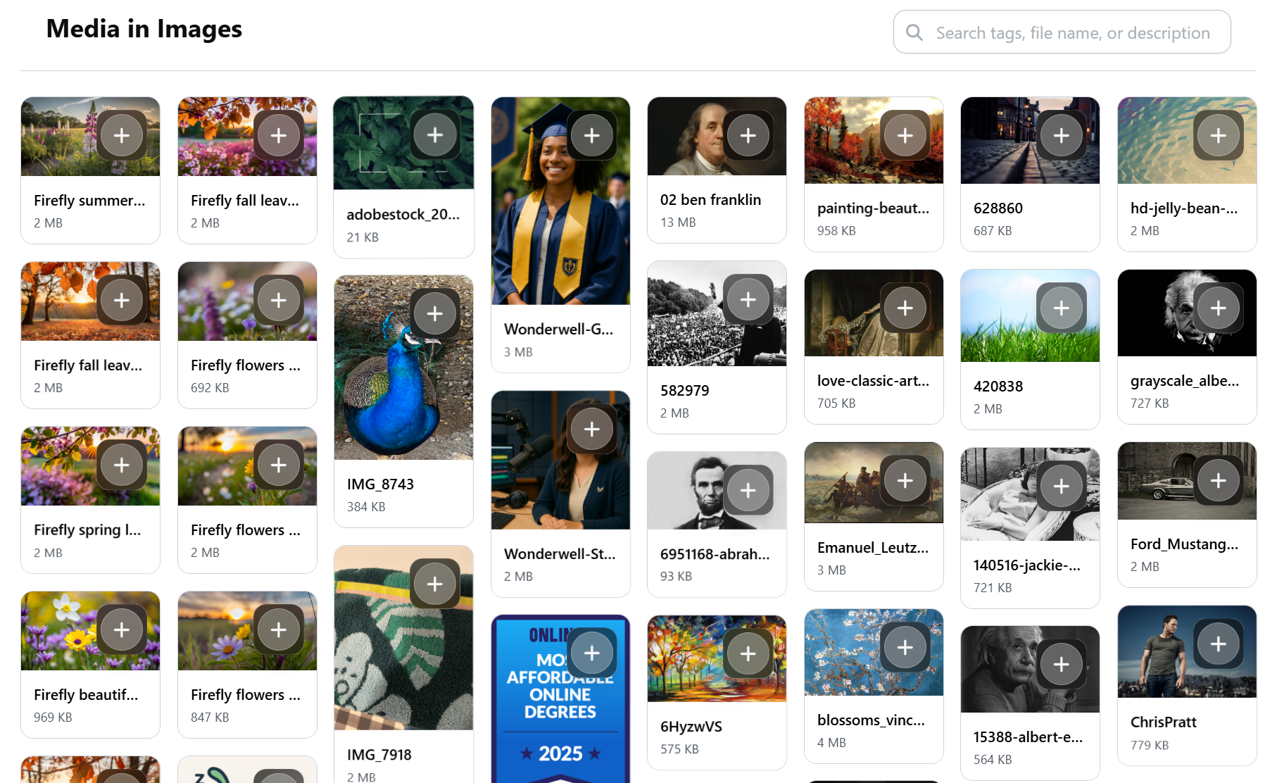 Grid of images and thumbnails representing a media library